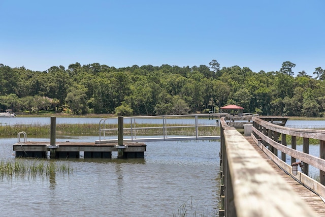 1972 Long Creek Rd, Wadmalaw Island, SC 29487 - dock area with a water view and a forest view
