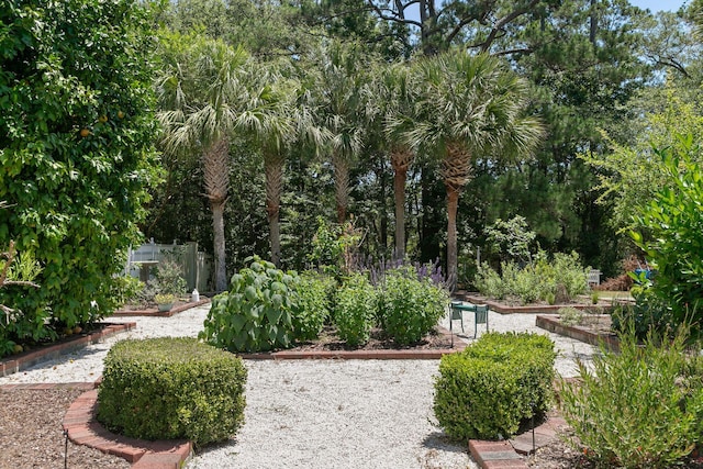 1972 Long Creek Rd, Wadmalaw Island, SC 29487 - view of property's community featuring a garden and fence