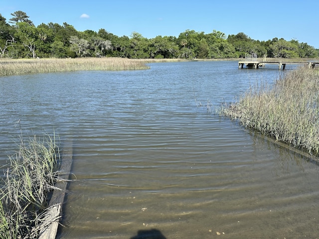 1972 Long Creek Rd, Wadmalaw Island, SC 29487 - view of dock with a water view and a wooded view