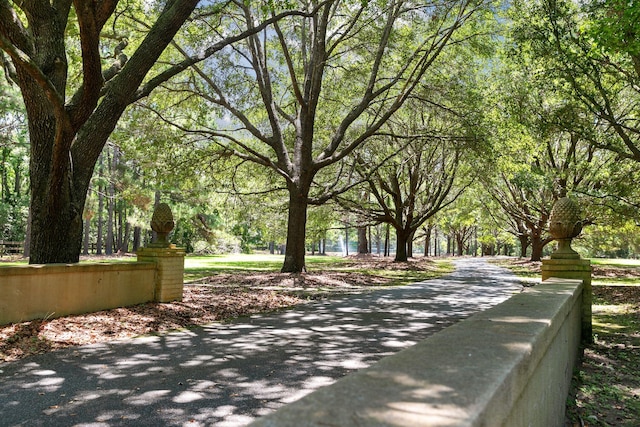 1972 Long Creek Rd, Wadmalaw Island, SC 29487 - view of road