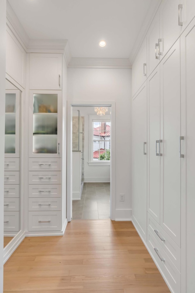 spacious closet with light wood-style floors