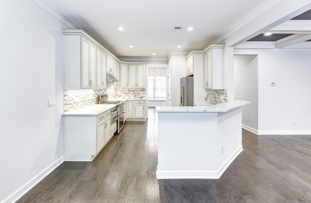 321 Houston Dr, Ladson, SC 29456 - kitchen featuring stainless steel appliances, under cabinet range hood, a peninsula, dark wood-style flooring, and decorative backsplash