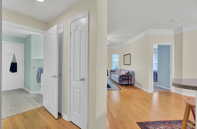 hallway featuring hardwood / wood-style flooring and ornamental molding