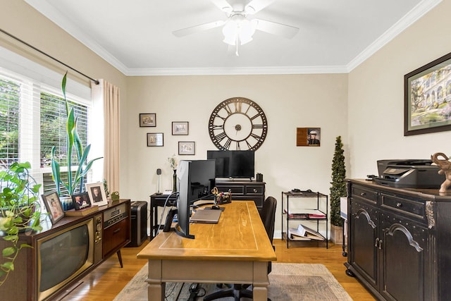 home office with crown molding, light hardwood / wood-style flooring, and ceiling fan