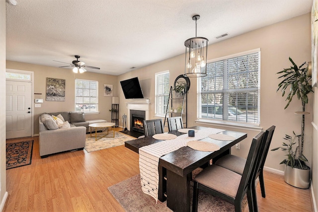 dining area with visible vents, ceiling fan, a fireplace with flush hearth, light wood-style flooring, and a textured ceiling