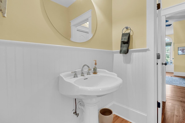 bathroom with sink and wood-type flooring