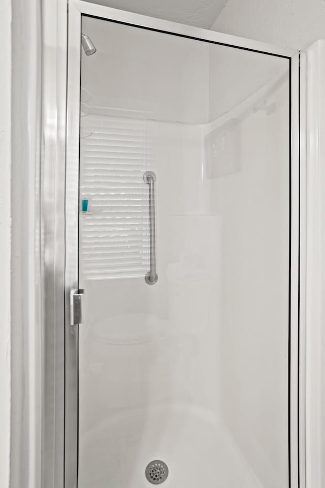 interior details featuring walk in shower