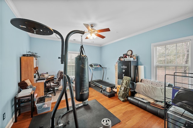 exercise area featuring a wealth of natural light, crown molding, and wood finished floors