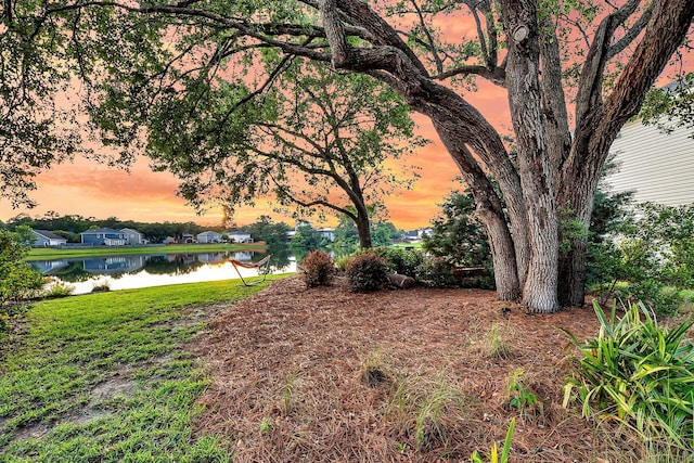 3310 Hartwell St, Johns Island, SC 29455 - yard at dusk with a water view