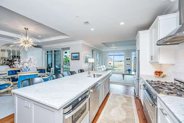 kitchen with wall chimney exhaust hood, premium appliances, a tray ceiling, sink, and an island with sink