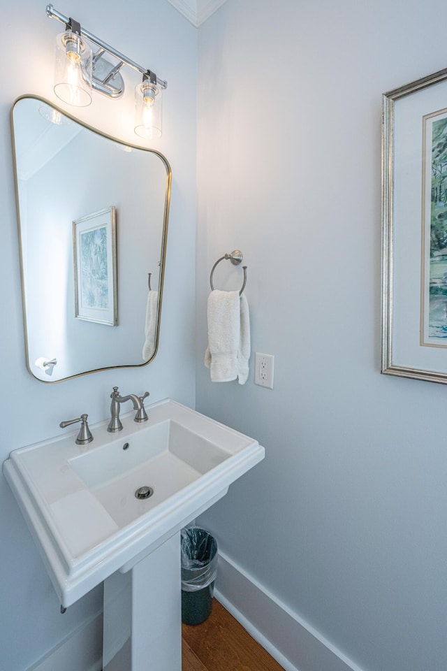 bathroom with wood-type flooring and sink