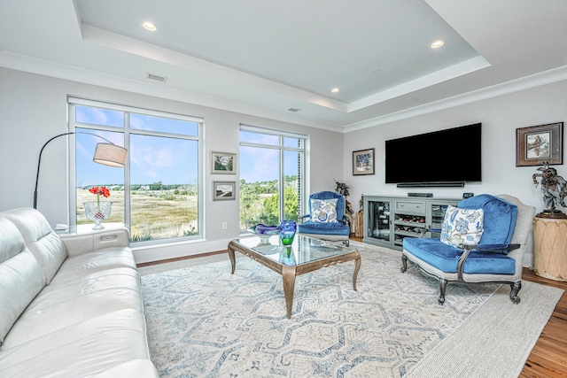 living room featuring a wealth of natural light, a tray ceiling, hardwood / wood-style flooring, and crown molding