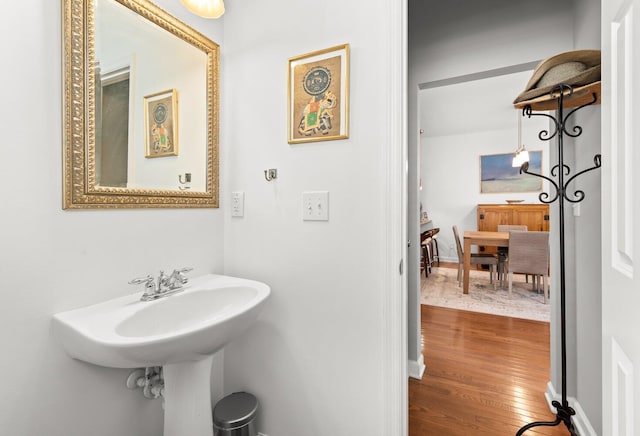 bathroom featuring wood-type flooring