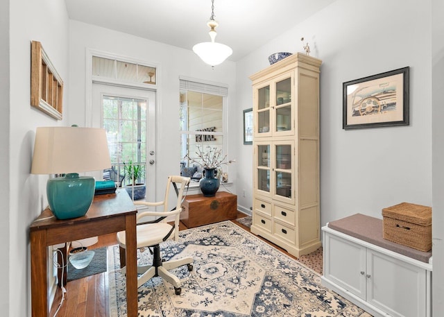 office space featuring hardwood / wood-style flooring