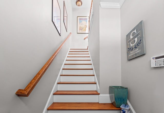 stairs featuring ornamental molding