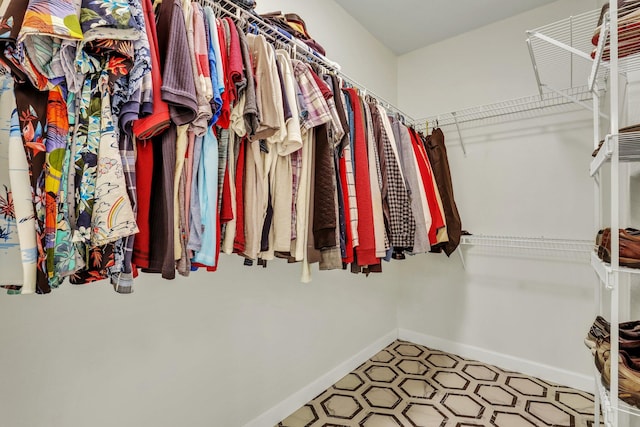 view of spacious closet