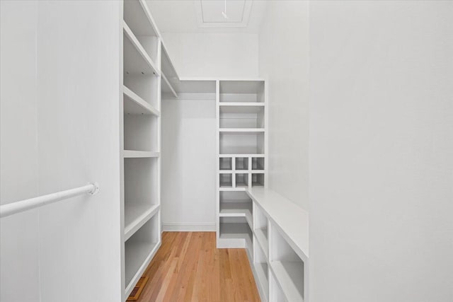 spacious closet featuring wood-type flooring