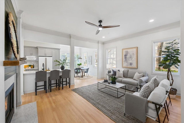 living room featuring ceiling fan, ornamental molding, and light hardwood / wood-style flooring