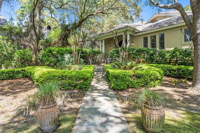 14 Royal Beach Dr, Kiawah Island, SC 29455 - view of front facade with stucco siding