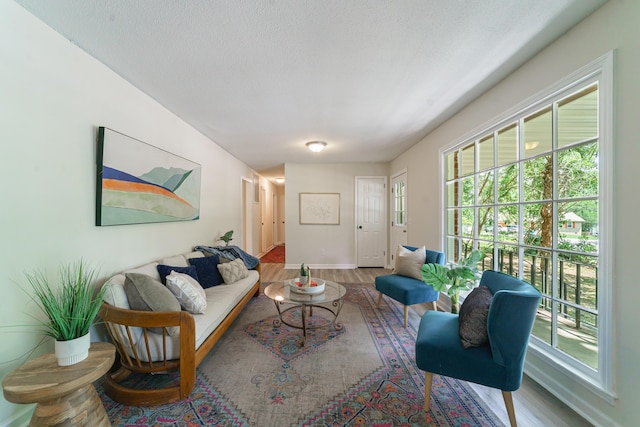 106 Kent Cir, Ladson, SC 29456 - living room with baseboards, plenty of natural light, and wood finished floors