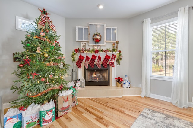 interior space featuring a tile fireplace and wood-type flooring