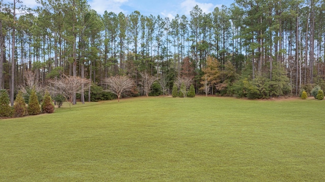 1129 Plantation Overlook Dr, Moncks Corner, SC 29461 - view of grassy yard