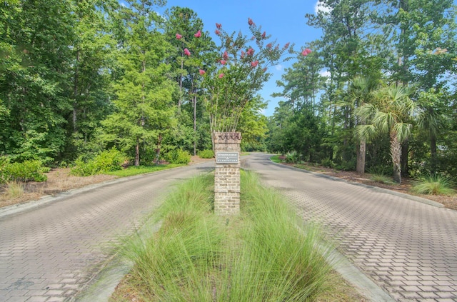 1129 Plantation Overlook Dr, Moncks Corner, SC 29461 - view of decorative road featuring curbs