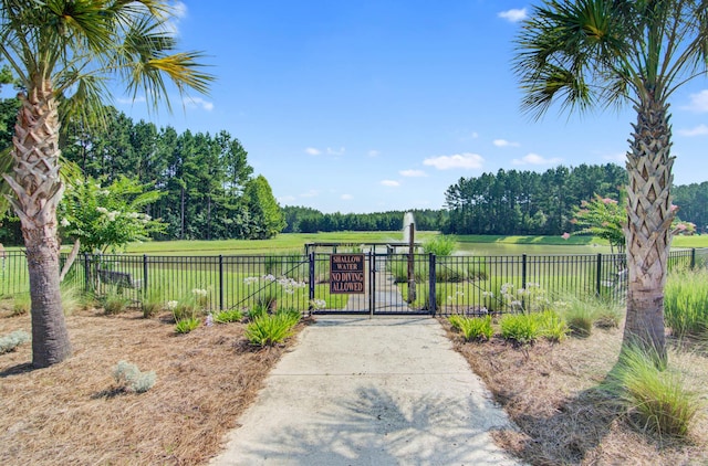 1129 Plantation Overlook Dr, Moncks Corner, SC 29461 - view of gate