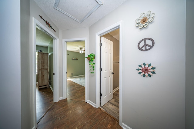229 Lindy Creek Rd, Goose Creek, SC 29445 - hall featuring wood finished floors, attic access, a textured ceiling, and a baseboard heating unit