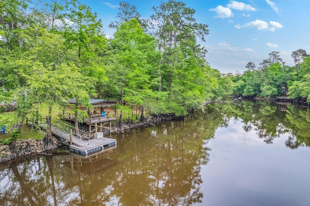 100 Canal Rd, Saint George, SC 29477 - dock featuring a water view and a view of trees