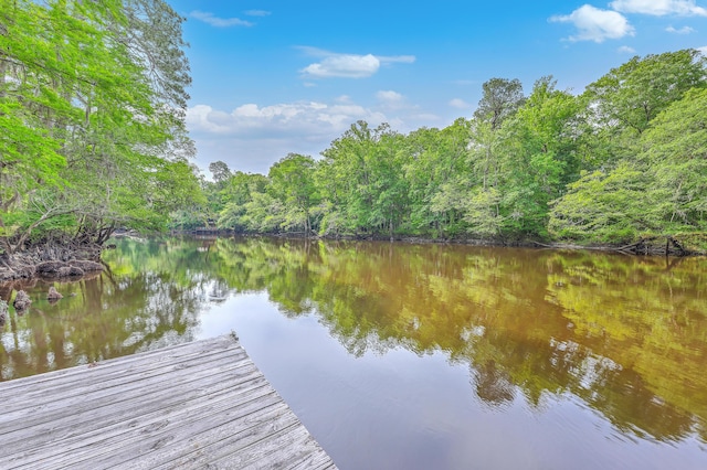 100 Canal Rd, Saint George, SC 29477 - dock area featuring a wooded view and a water view