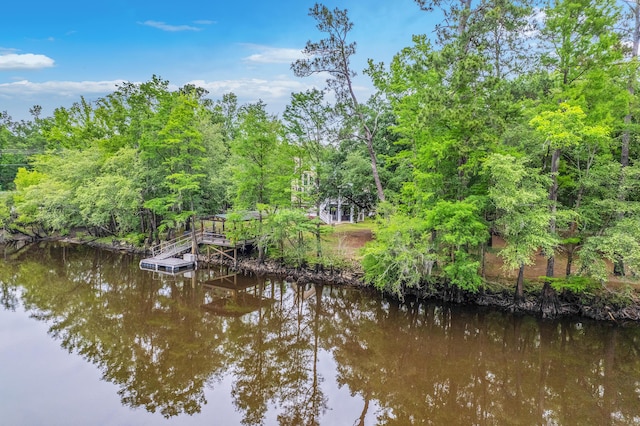 100 Canal Rd, Saint George, SC 29477 - dock area with a water view