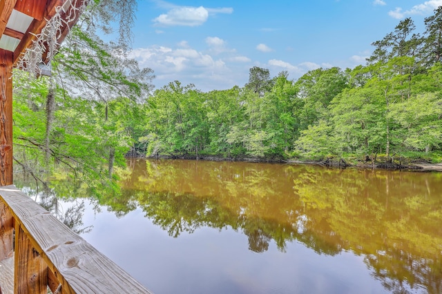 100 Canal Rd, Saint George, SC 29477 - water view with a forest