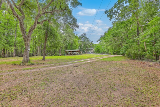 100 Canal Rd, Saint George, SC 29477 - view of yard