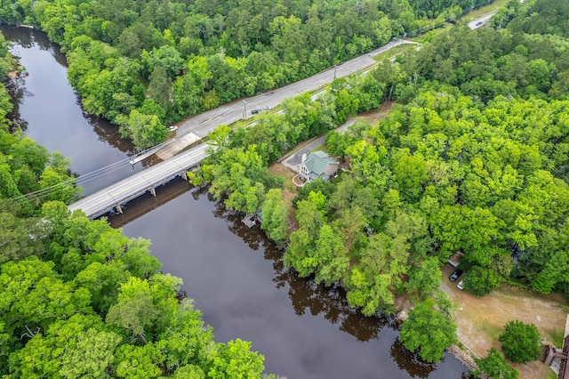 100 Canal Rd, Saint George, SC 29477 - view of property location featuring a nearby body of water and a forest