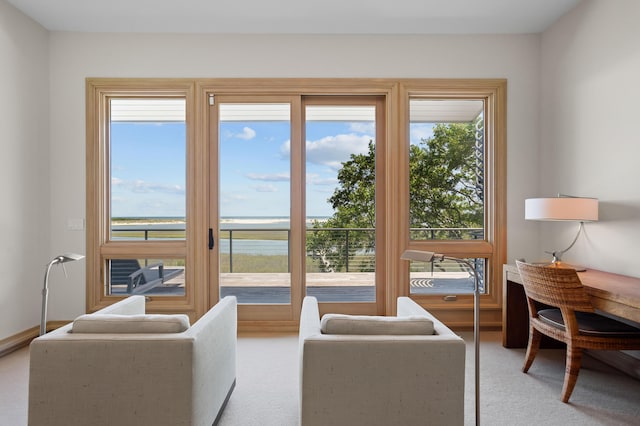 carpeted living room with a healthy amount of sunlight and a water view