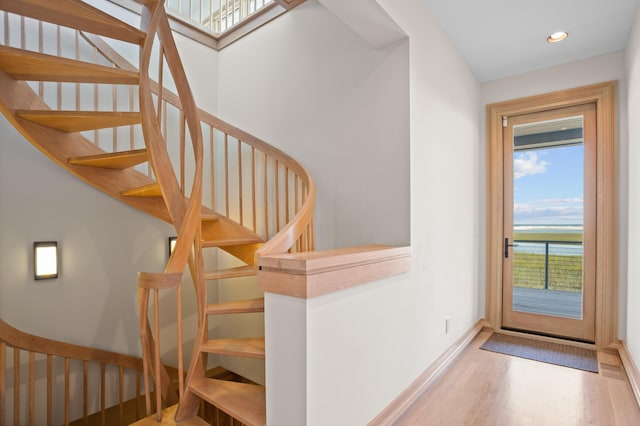 entrance foyer featuring wood-type flooring