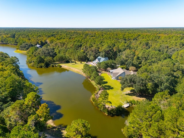 birds eye view of property with a water view and a view of trees