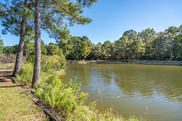 view of water feature featuring a view of trees