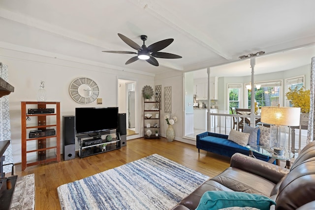 living room with beam ceiling, a ceiling fan, and wood finished floors