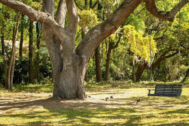 view of community featuring a wooded view