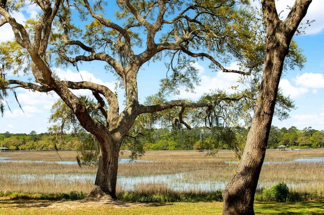 property view of water