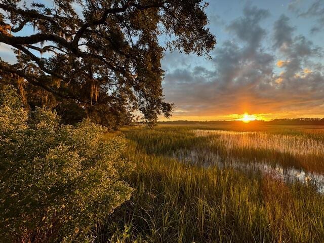 view of nature at dusk