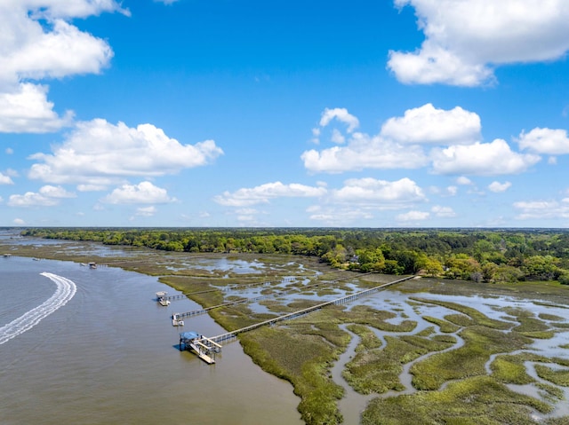 bird's eye view with a water view and a wooded view