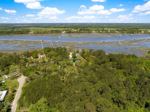 aerial view with a water view and a view of trees