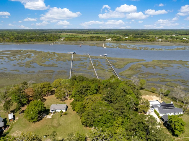 bird's eye view featuring a water view and a forest view