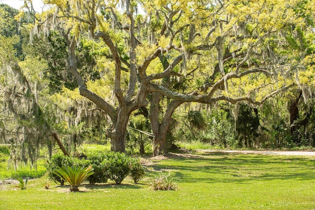 view of community with a view of trees and a yard