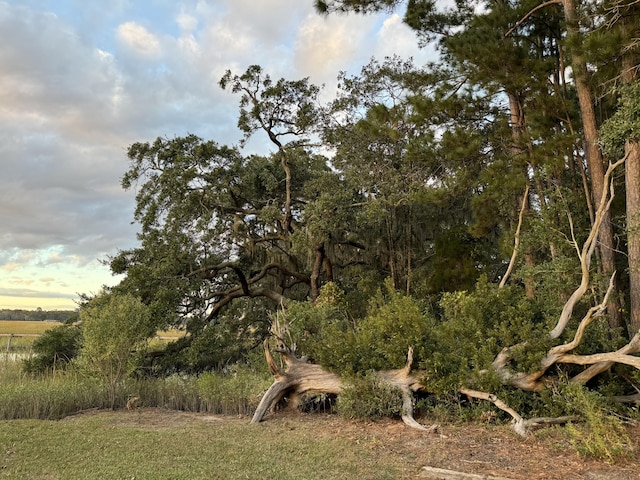 view of nature