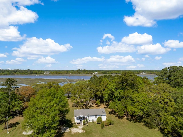 bird's eye view featuring a forest view and a water view