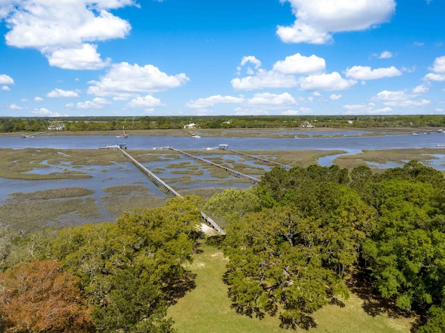 property view of water featuring a wooded view